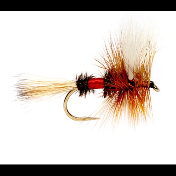 Meet your Posher, Chet - Picture 1 of 1